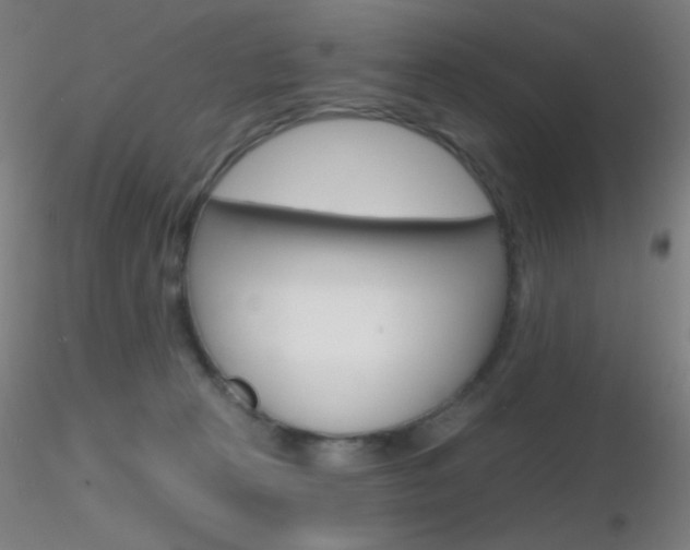 X0000116790273200912181101