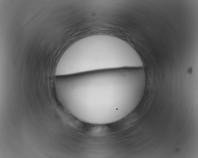 X0000116790274200912181101
