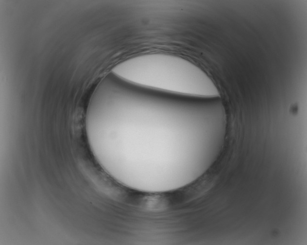 X0000116790275200912181101