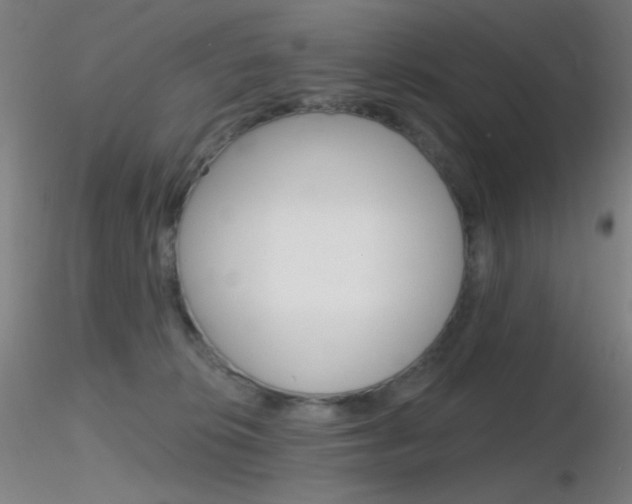 X0000116790276200912181101