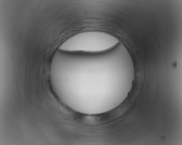 X0000116790277200912181101