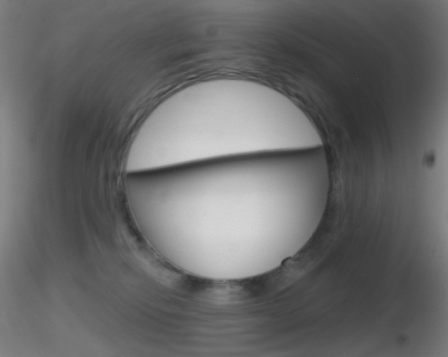 X0000116790278200912181101