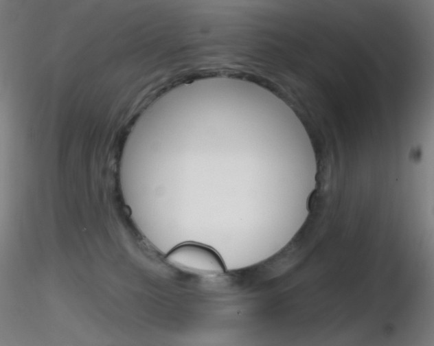 X0000116790279200912181101