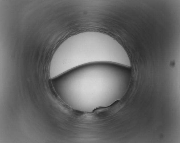 X0000116790280200912181101