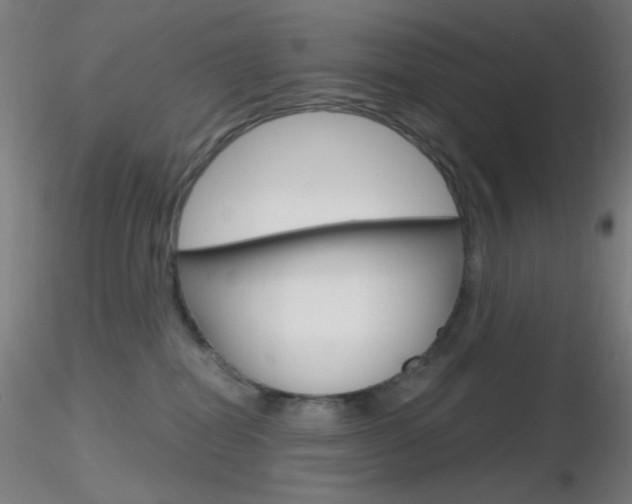 X0000116790282200912181102
