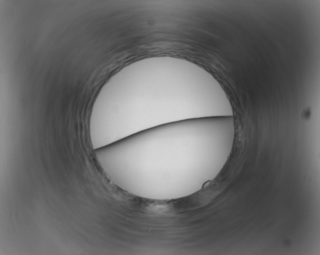 X0000116790283200912181102