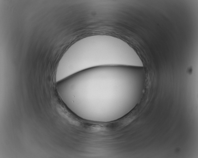 X0000116790284200912181102