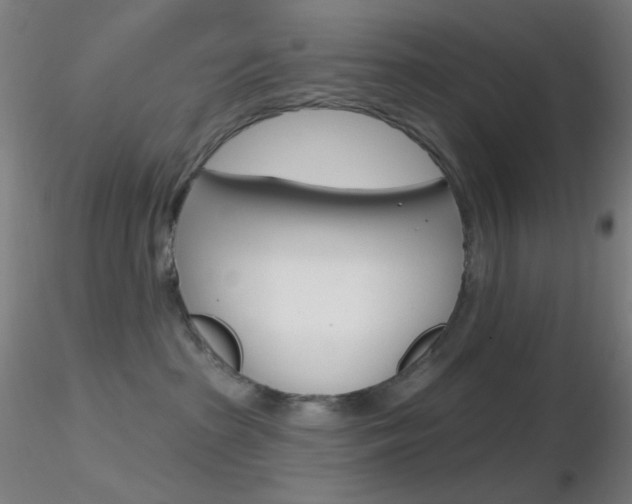 X0000116790285200912181102