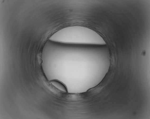 X0000116790286200912181102