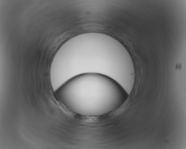 X0000116790288200912181102