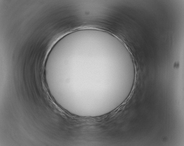 X0000116790289200912181101