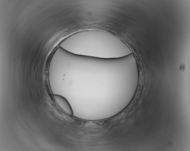 X0000116790290200912181101