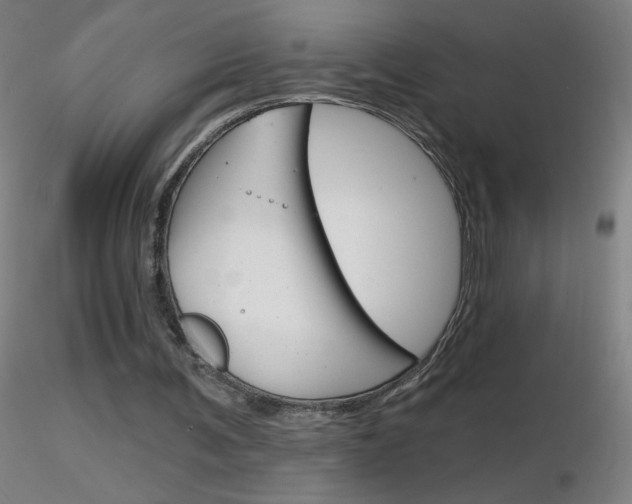 X0000116790291200912181101