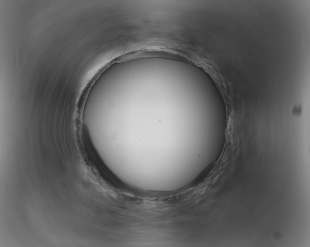 X0000116790292200912181101
