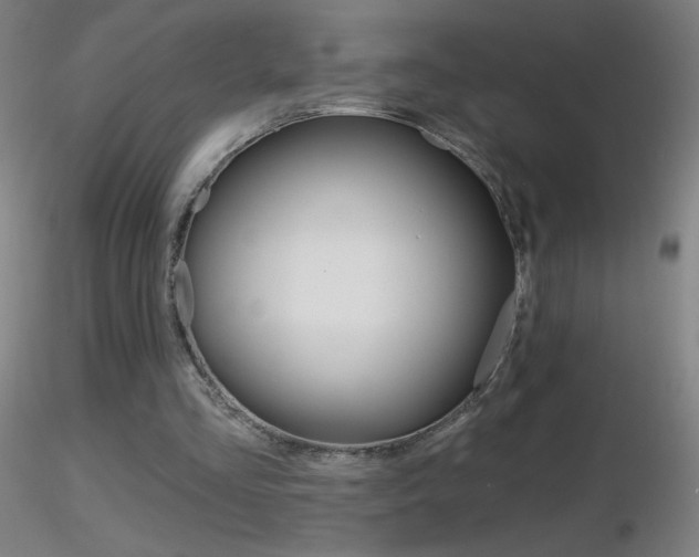 X0000116790293200912181101