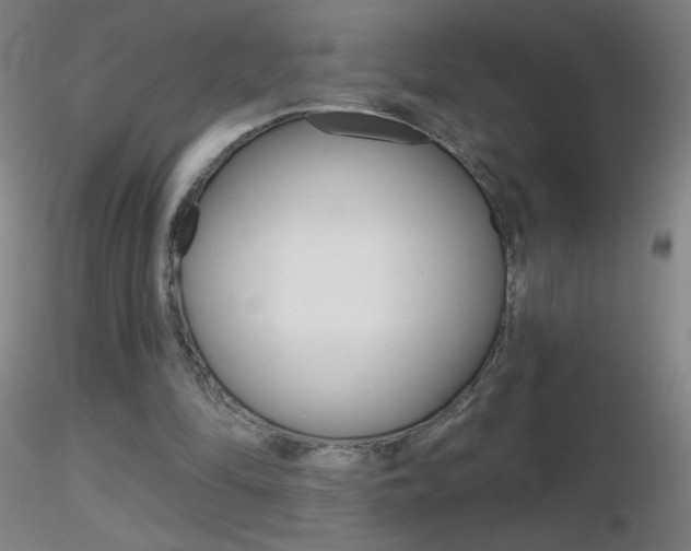 X0000116790294200912181101