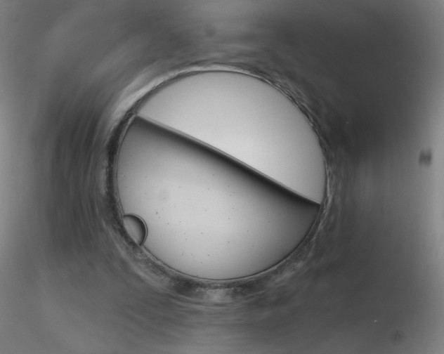 X0000116790295200912181101