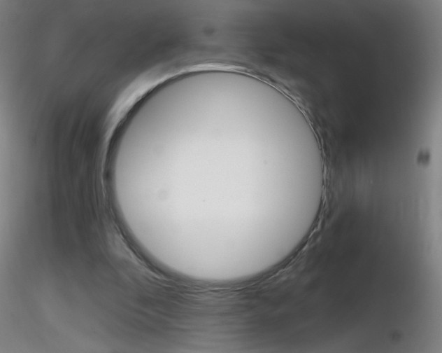 X0000116790296200912181101