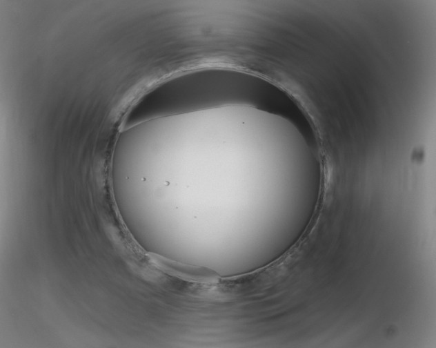 X0000116790297200912181101