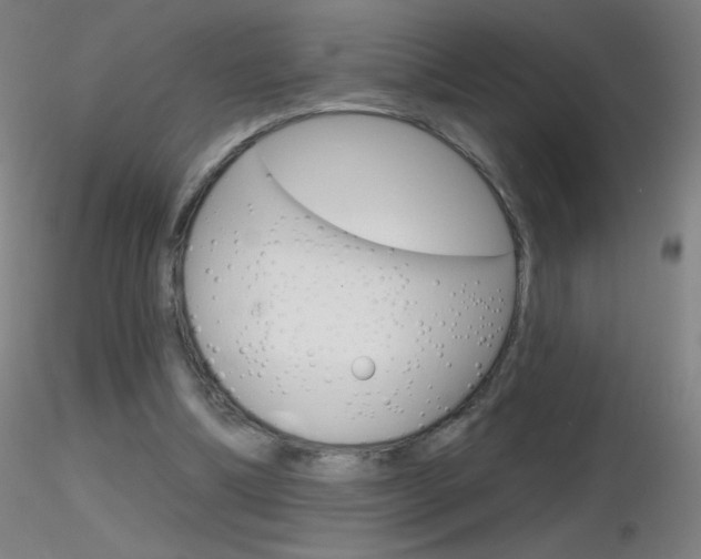 X0000116790298200912181101