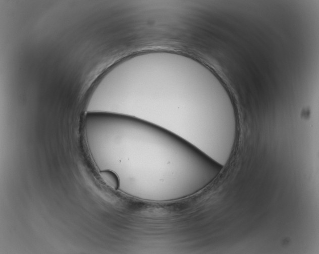 X0000116790299200912181101