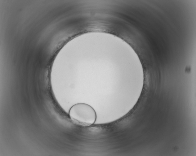 X0000116790302200912181101