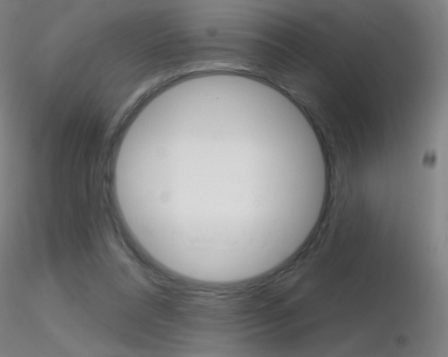 X0000116790304200912181101