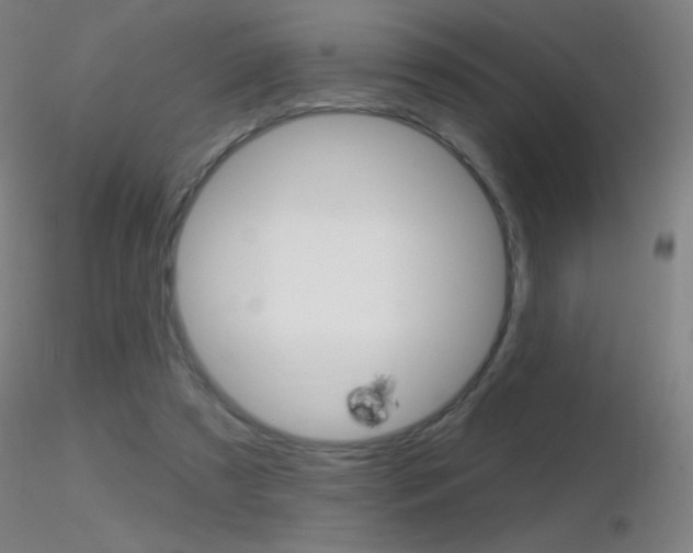 X0000116790305200912181101