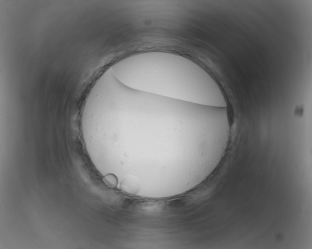 X0000116790306200912181101