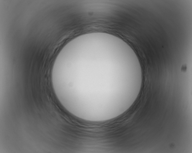X0000116790308200912181101