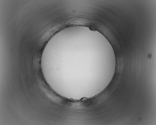 X0000116790309200912181100