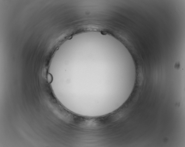 X0000116790310200912181100