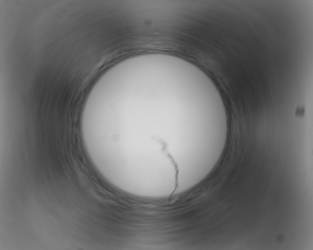 X0000116790312200912181100