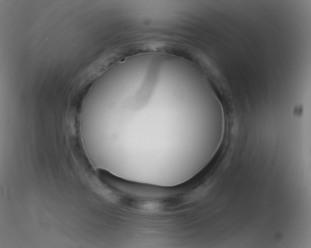 X0000116790313200912181100
