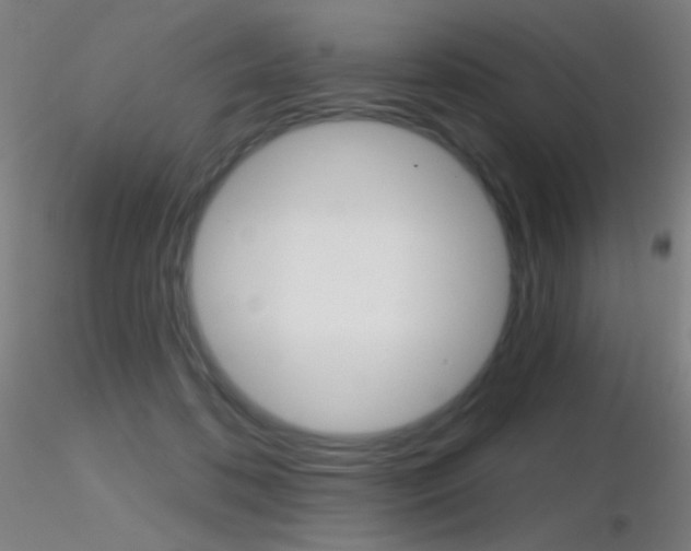 X0000116790316200912181100