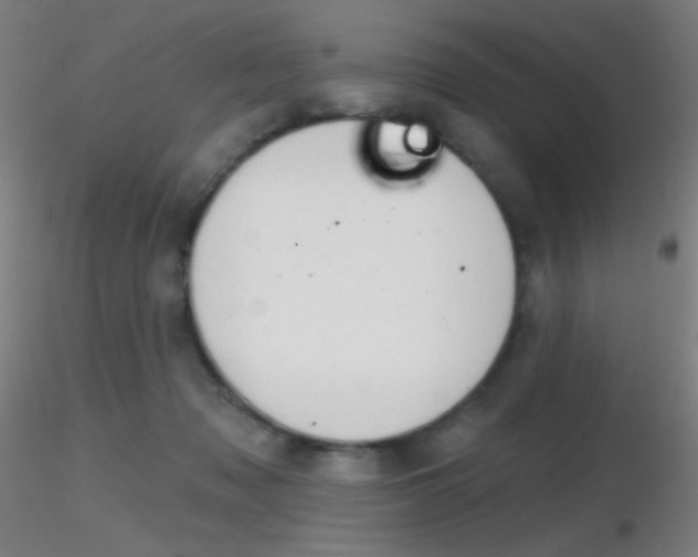 X0000116790317200912181100