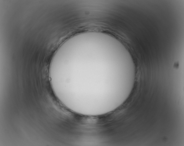 X0000116790318200912181100