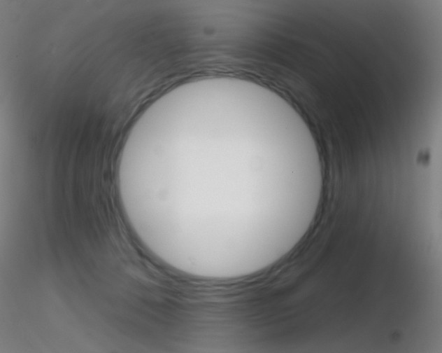 X0000116790320200912181100