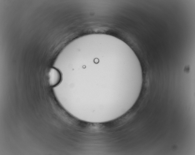 X0000116790321200912181100