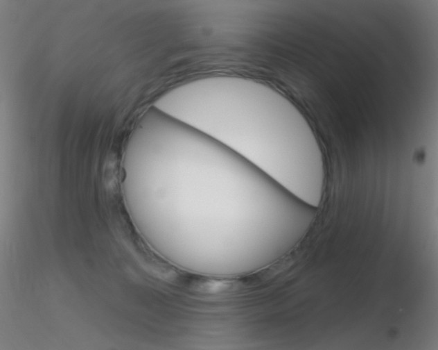 X0000116790323200912181100
