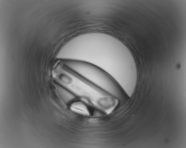 X0000116790324200912181100