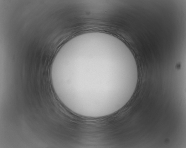 X0000116790325200912181100