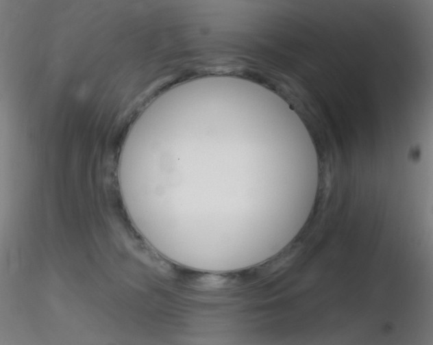 X0000116790326200912181100