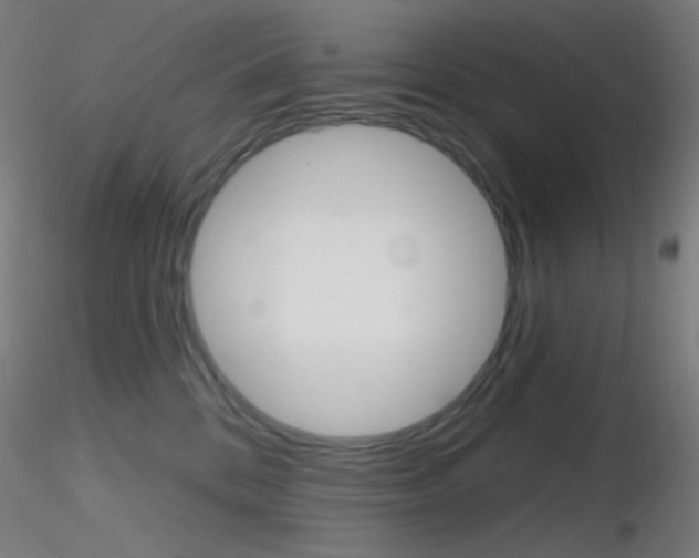 X0000116790328200912181100