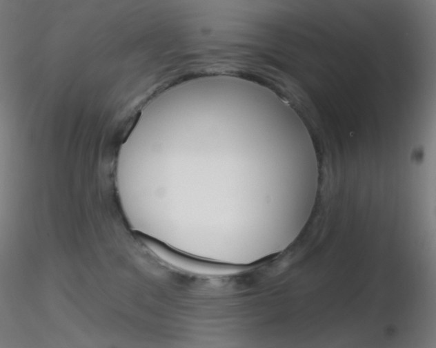 X0000116790329200912181100