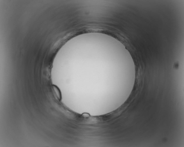X0000116790330200912181100