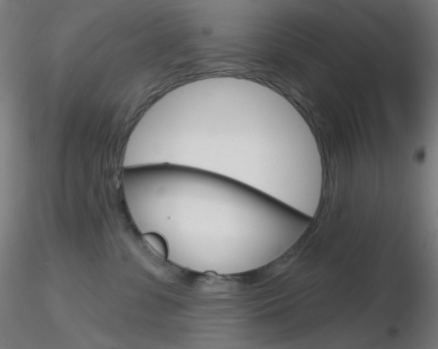 X0000116790331200912181100