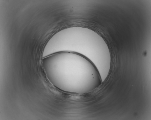 X0000116790332200912181100