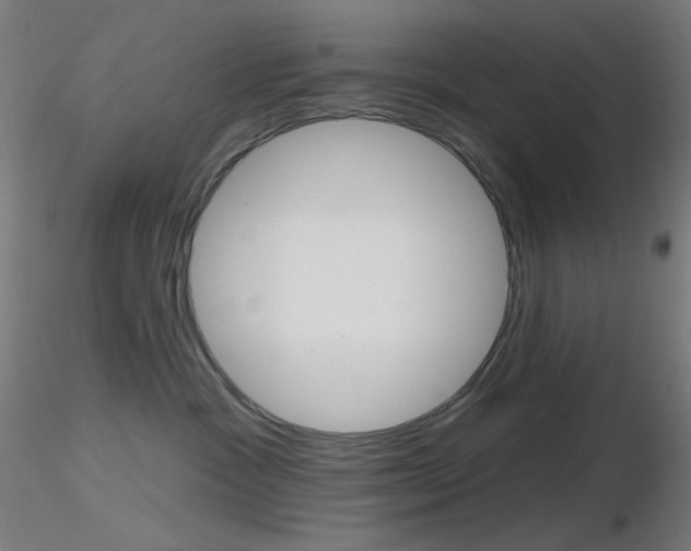 X0000116790333200912181100