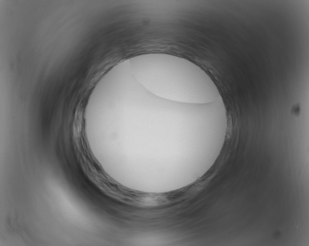 X0000116790334200912181100